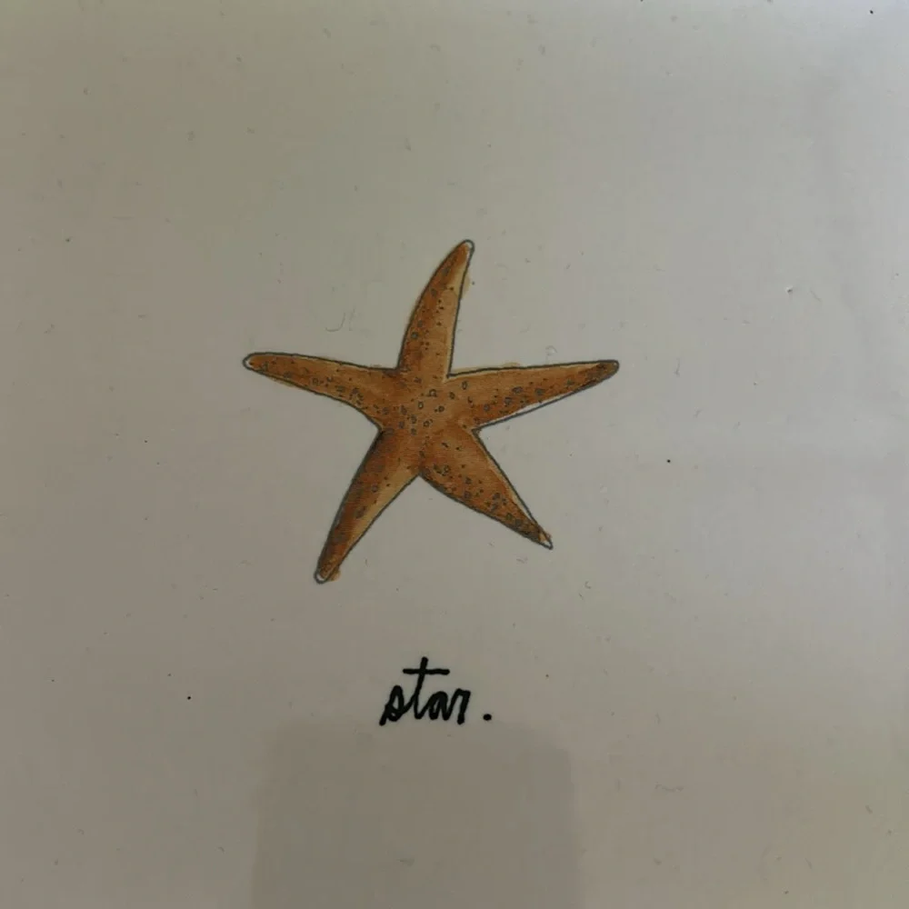 NWOT Rae Dunn starfish & anchor themed tray/platter - Picture 3 of 5